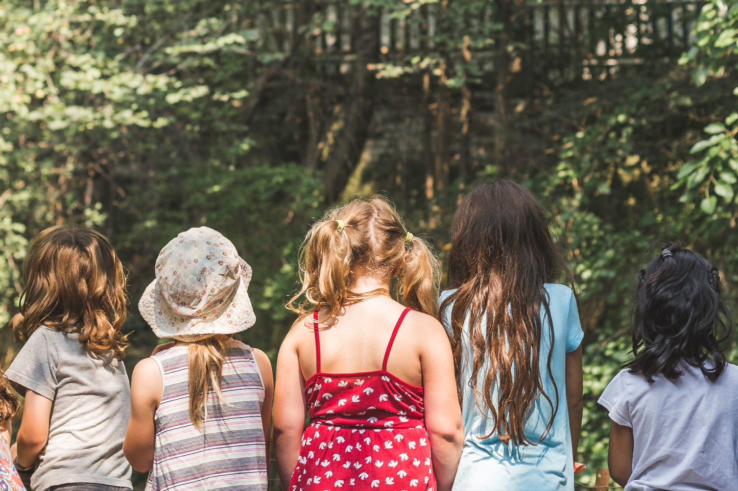 image of the back of five children lined up